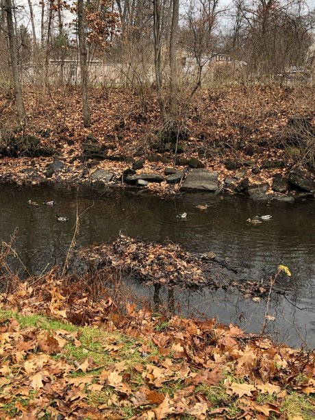 firehose top pornostar foto