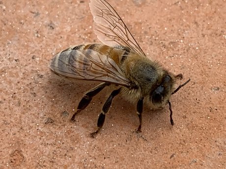 Reasonableish heiße erotische galerien