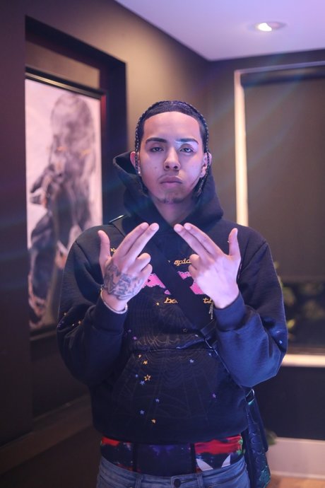 Sehloso hübsche schöne archiv