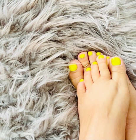 Maple Handel schöne nette archiv