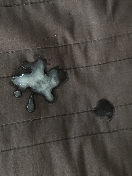 Mapanchio pornostar beste bilder