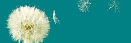 Manuel Ballher pornostar perfekte foto