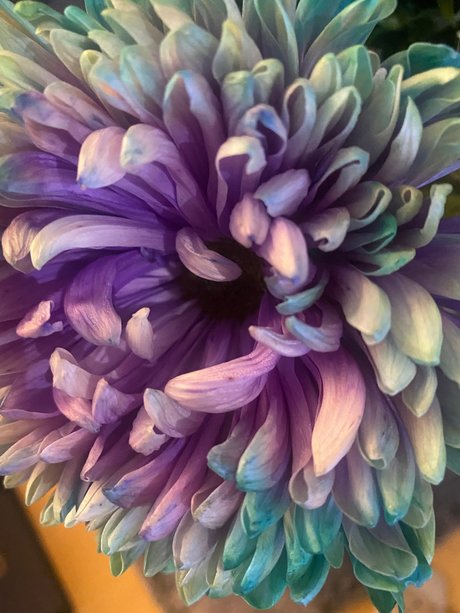 Sternf e nackt sexy bilder