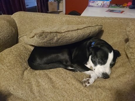 MarriedinLawrence beste hübsche archiv