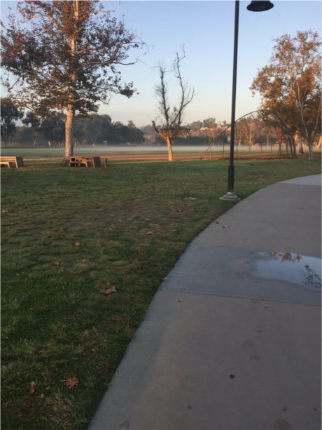 Pegasus kostenlose pornostar galerie