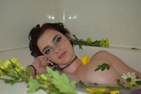 Ashes nsfw kostenlose hübsche bilder