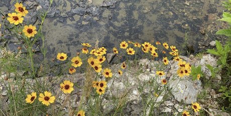 Bananacakes_ hd akt fotos