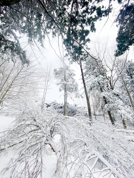 Mason Woods kostenlose nackten galerie