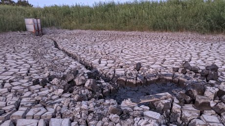 BannerQS sexy erotische galerien