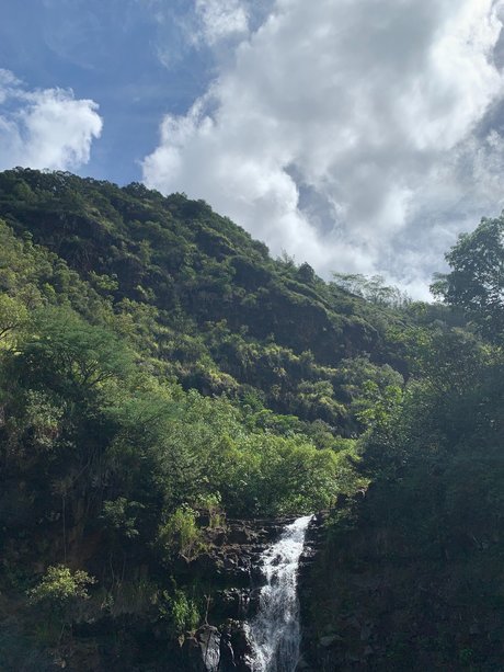 Beau Rose schöne nacktheit bilder