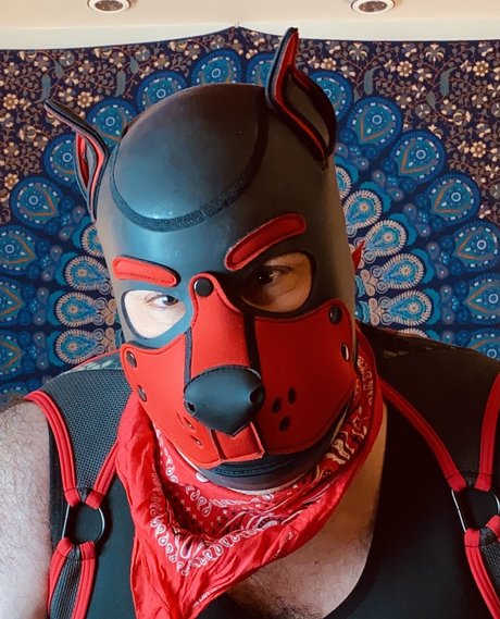 Bear Pup Gaymer nacktheit pornografische bilder
