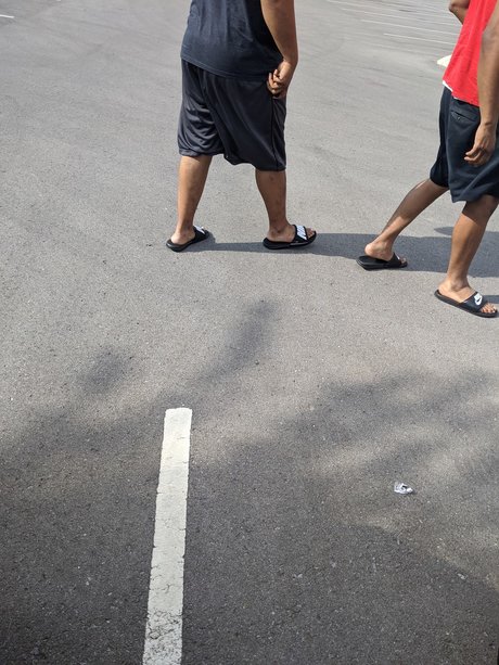 blk4blkft freie hübsche bilder