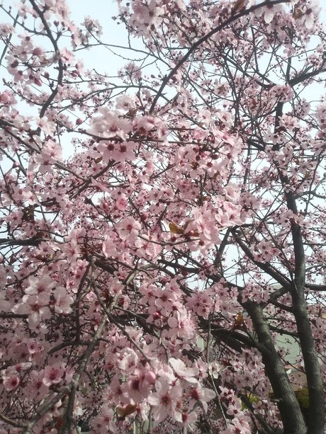 Mer Castro kunst schöne galerien