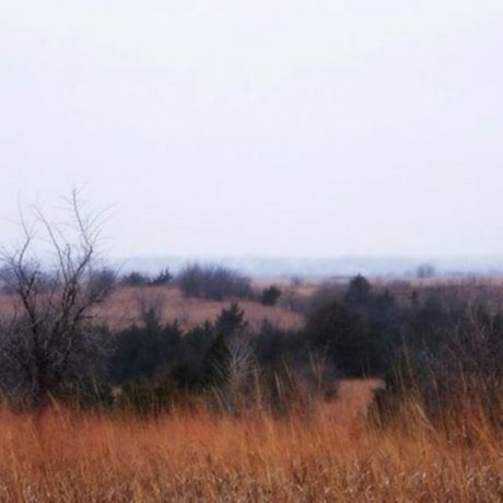 Dirty Gertie kunst hd galerie