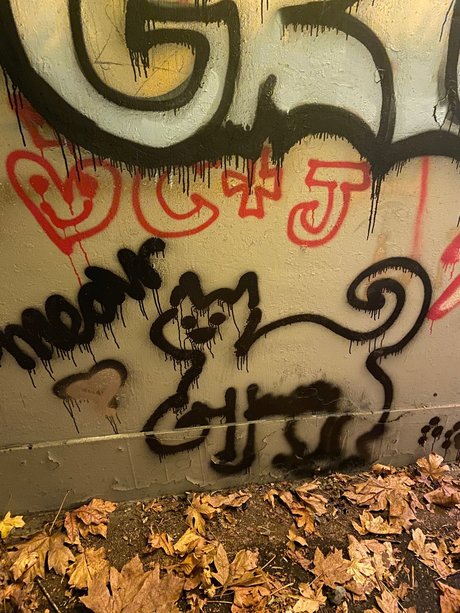 Meowjwanna sexy top foto