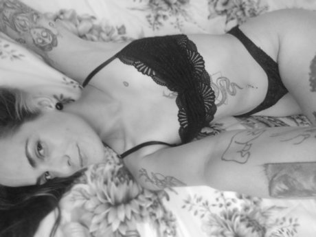 Bela art exklusive perfekte bilder