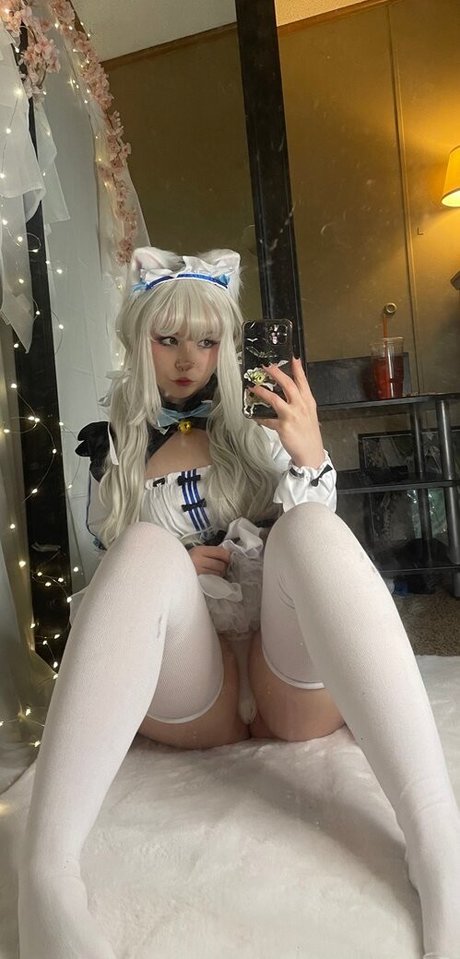 Pockycats beste pornografische foto