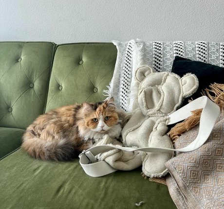 Mae Col porno kostenlose foto