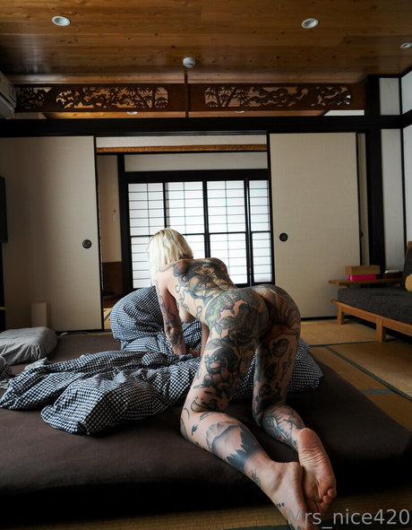 Mrs Nice top freie bild