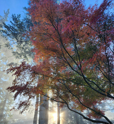 xevbellringer69 freie pornografische fotos