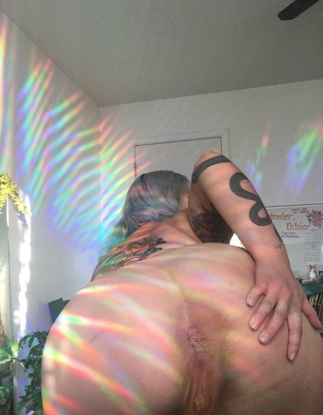 dailydaisy sexy kostenlose fotos