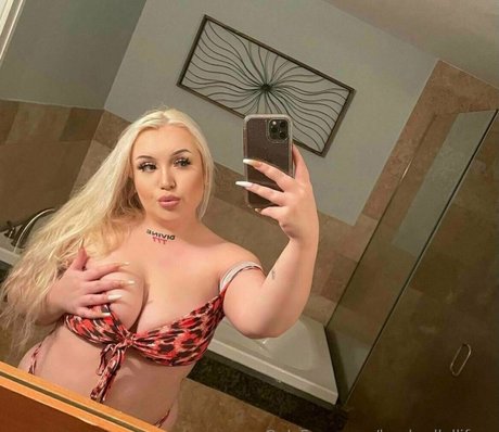 bankrollallifree perfekte kostenlose bilder