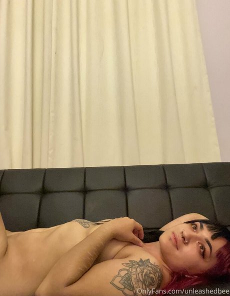 ariquxeen exklusive beste galerie