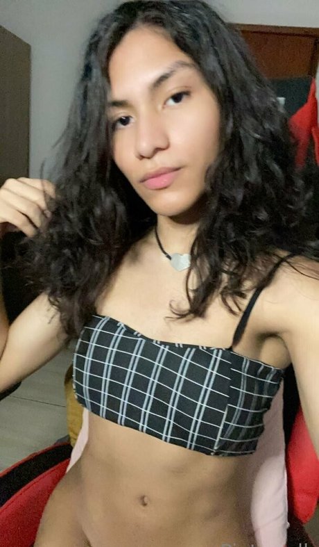 pietravdk Profilbild