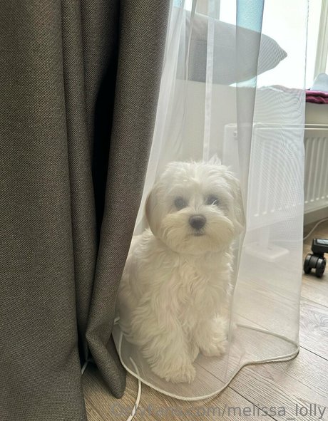 schöne titten nur fans kunst freie bild