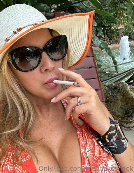 theshakeshack perfekte freie galerien