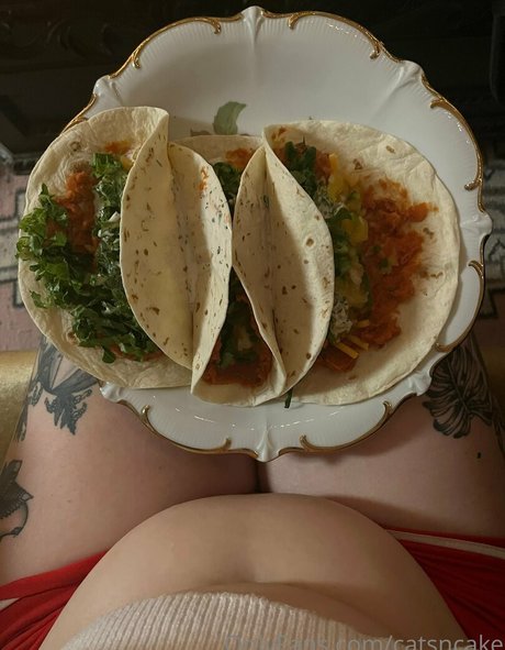 catsncake beste pornografische archiv