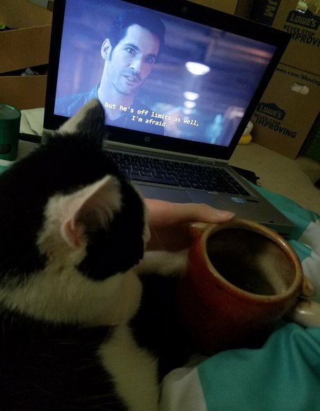 sqregina exklusive beste fotos