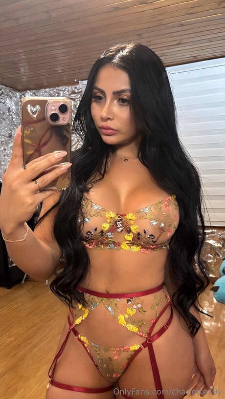 charlotte19y sexy top bild