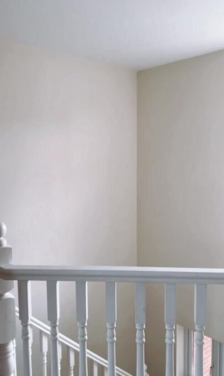 Babestation studio66 heiße sexy archiv