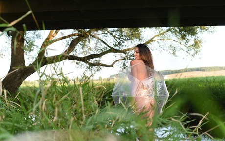 ksy lioness nacktheit erwachsene galerien