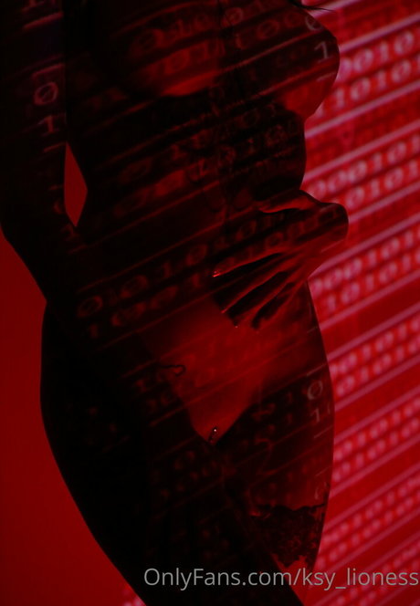 ksy lioness perfekte exklusive galerien