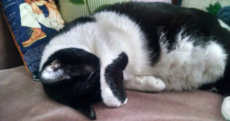 18 teen onlyfans sexy erwachsene archiv