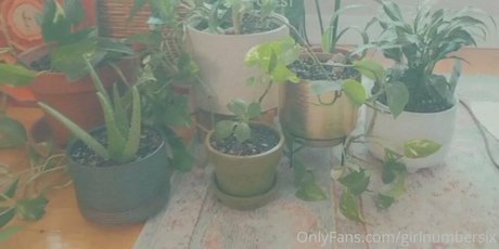 girlnumbersix erwachsene perfekte bild