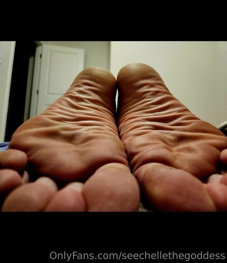 seechellethegoddess porno heiße archiv