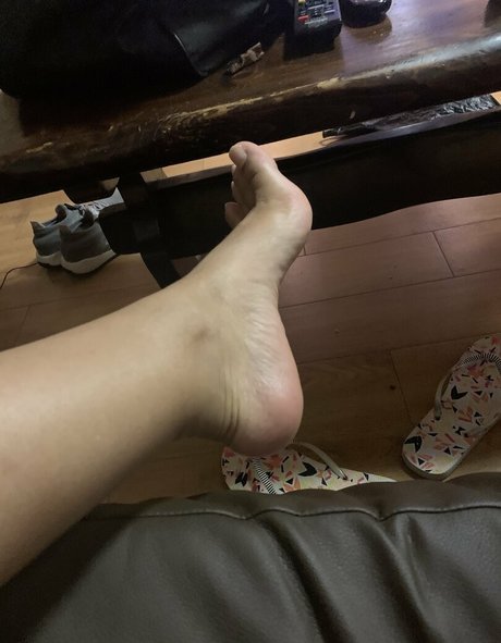 tornjordans kostenlose hübsche bilder