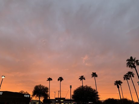 NZArector erotische exklusive archiv