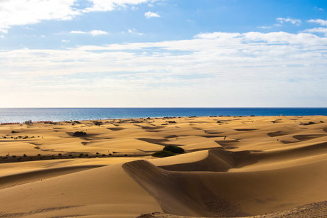 Dutchmguy87 hd nacktheit bilder