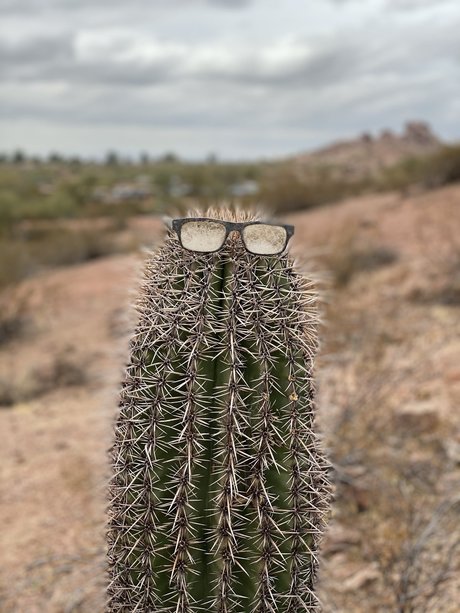 schöne asiatische onlyfans sexy archiv