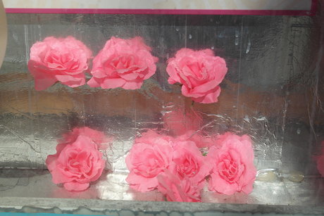 Metsanneiti schöne hübsche archiv