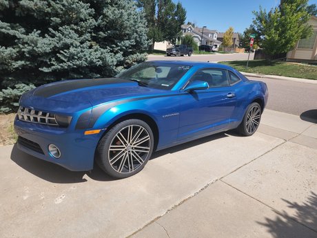 Milan T perfekte top galerien