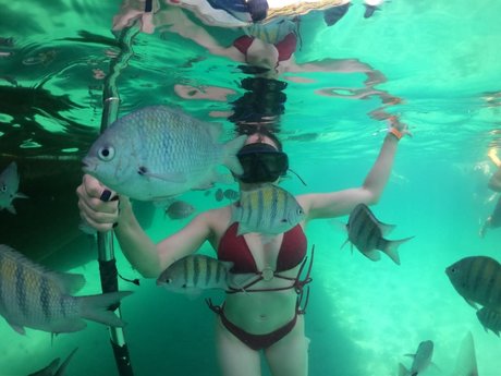 Miel erotische hd bild