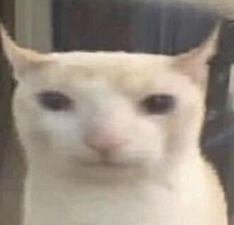 Midwestkid937 hübsche top galerien