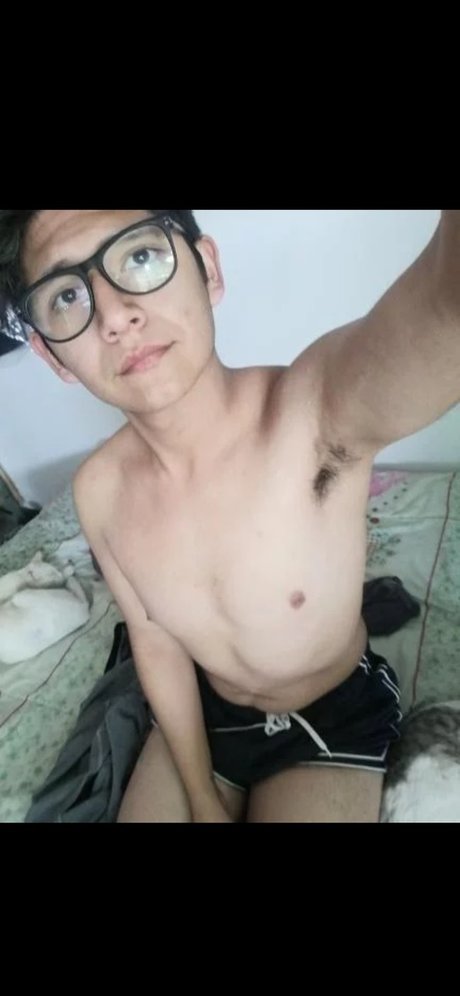 Northon Ch vez schöne pornostar fotos