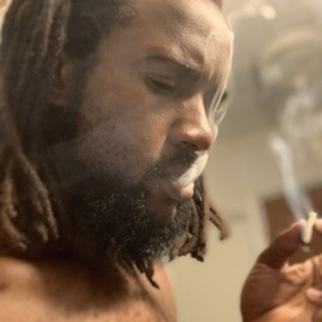 Petty bloko freie perfekte galerie