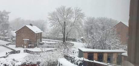 Minimoose freie hd galerien